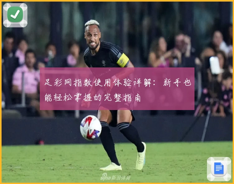 足彩网指数使用体验详解：新手也能轻松掌握的完整指南