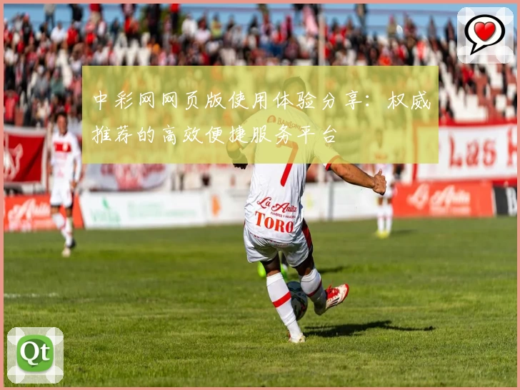 中彩网网页版使用体验分享：权威推荐的高效便捷服务平台