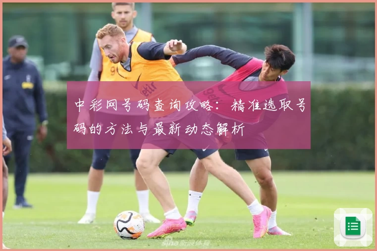 中彩网号码查询攻略:精准选取号码的方法与最新动态解析