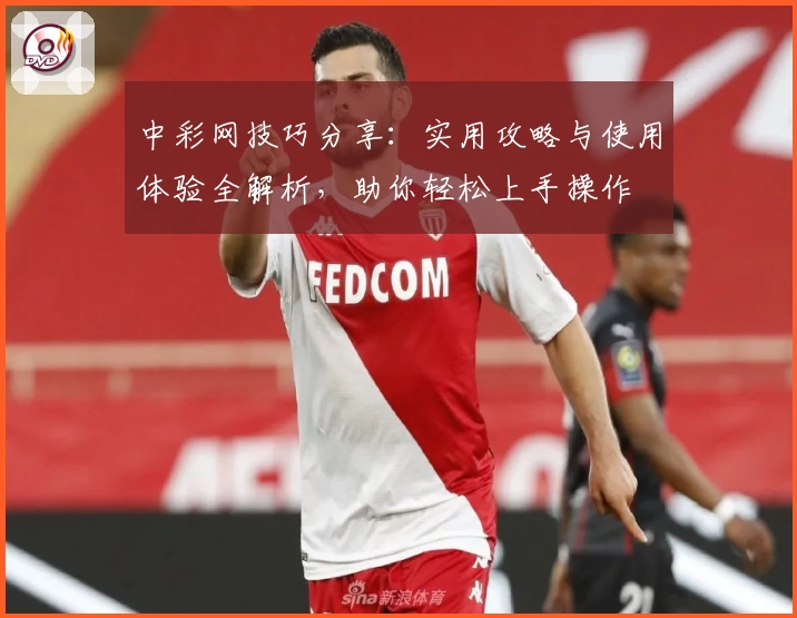 中彩网技巧分享：实用攻略与使用体验全解析，助你轻松上手操作