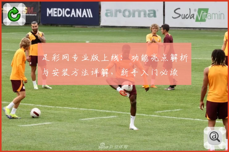 足彩网专业版上线：功能亮点解析与安装方法详解，新手入门必读